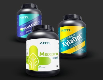 Packaging Design Services - Increase Your Product Appeal