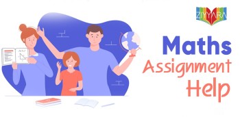 Expert Maths Help and Assignment Assistance - Ziyyara