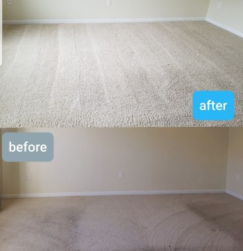 carpet cleaning services dubai  ajman sharjah 0563129254