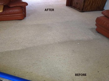 carpet cleaning services dubai  ajman sharjah  0563129254