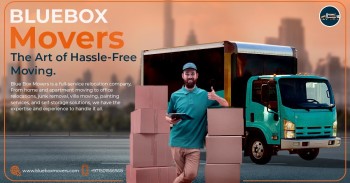 Bluebox movers and packers