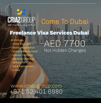 freelance 2 year visa in dubai and business setup service 