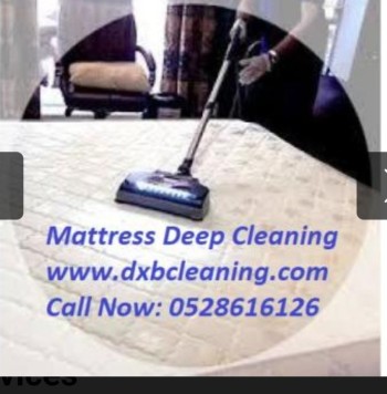 Mattress Cleaning Services 