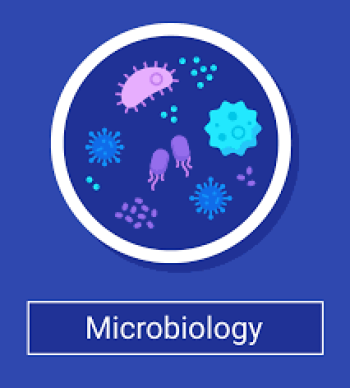 Euro Global Summit On Infectious Diseases and Microbiology (EGSIDM2024)