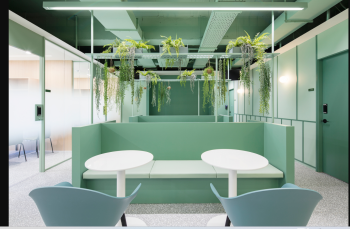 Sustainable Office Solutions: Enhance Productivity with Eco-Friendly Workspaces