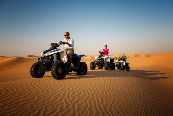 desert morning safari