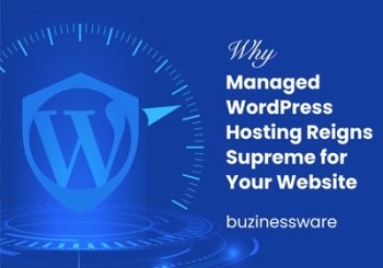 Best Managed WordPress hosting in Dubai, UAE