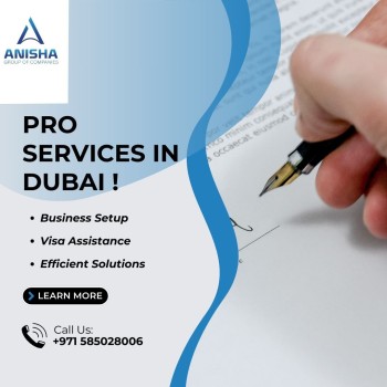 pro-services-in-dubai (3)