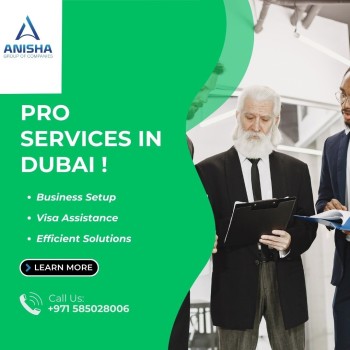 pro-services-in-dubai (4)