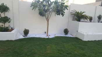 Garden, grass, and tree maintenance works in Dubai (call for visit)