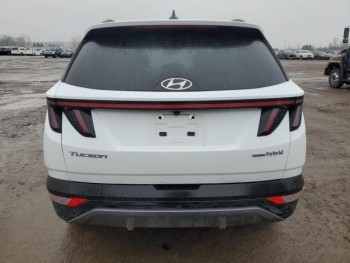 2023 HYUNDAI TUCSON LUXURY 5 - Copy