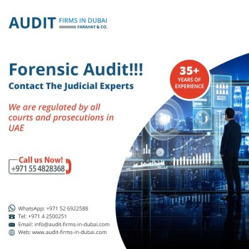 Professional Audit firm Dubai - Book a Consultation Today