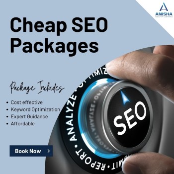 cheap-seo-packages (3)