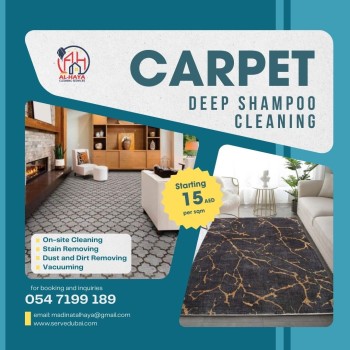 best carpet cleaners near me 0547199189