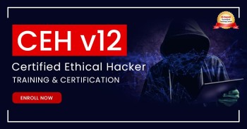 Ethical Hacker Certification Training