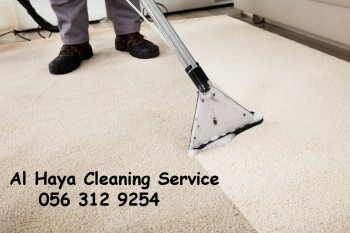 carpet-cleaners-alain-0563129254