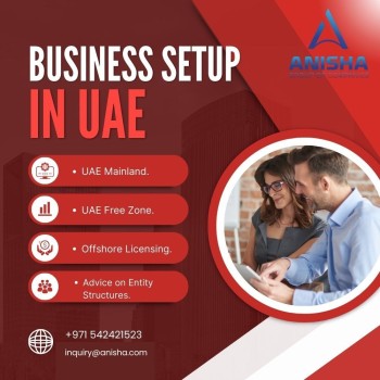 Business Setup Consultants in Dubai: Expert Guidance for Thriving Ventures