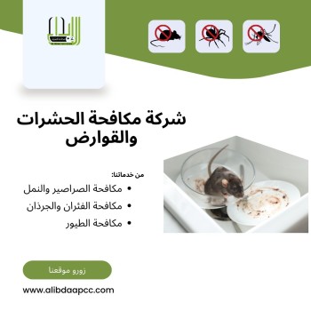 Pest Control Services in Al Ain and Abu Dhabi 