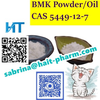 bmk powder 5449-12-7 sabrina@hait-pharm (52)