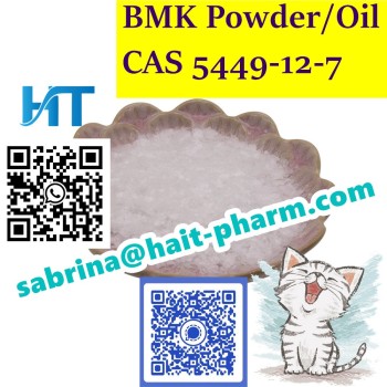 bmk powder 5449-12-7 sabrina@hait-pharm (53)