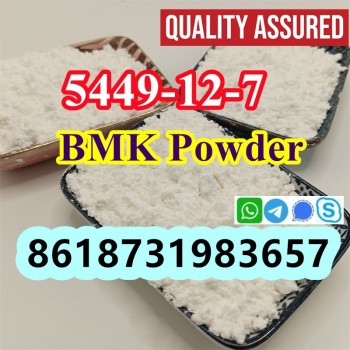 New BMK Powder CAS 5449-12-7  (4)