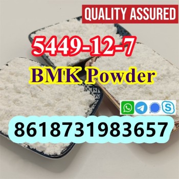 New BMK Powder CAS 5449-12-7  (5)