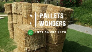 0555450341 pallets wooden