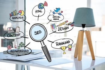 Search Engine Optimization | SMO | SEO company -Xaltam