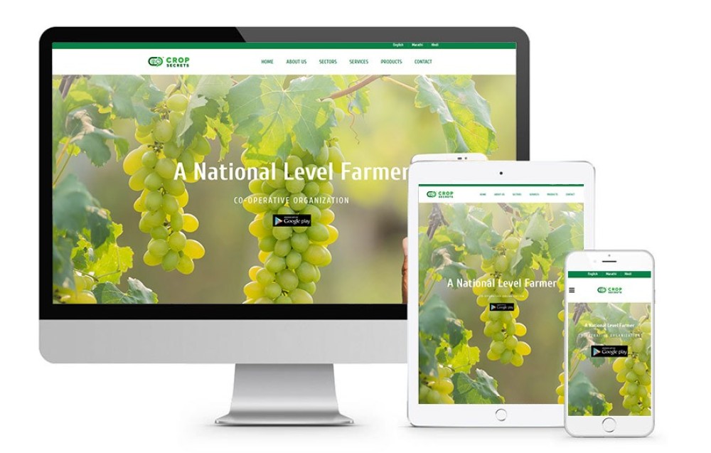 Customized Website Design and Development – Your Vision, Our Expertise