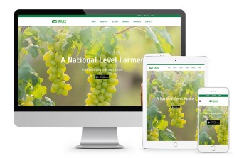 Customized Website Design and Development – Your Vision, Our Expertise