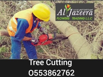 Tree cutting and disposal service-0553862762