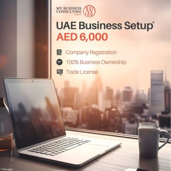 Business Setup In Dubai And Uae