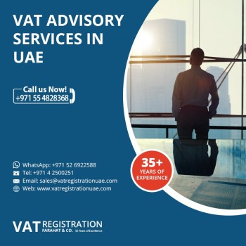 VAT Filing Experts in the UAE