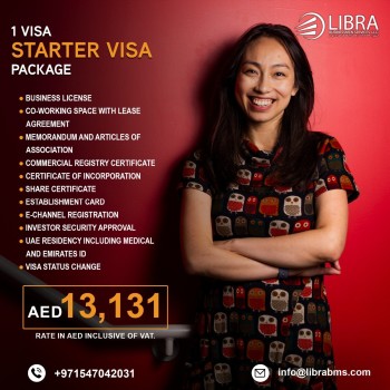 1 Visa Starter Package