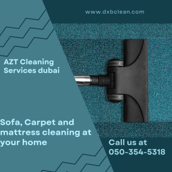 Teal and Black Simple Carpet Cleaning Offer Instagram Post_20240813_211938_0000