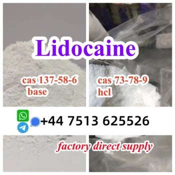 lidocaine hcl base (5)