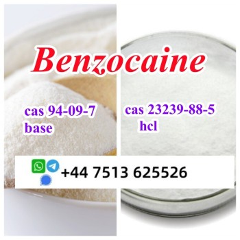 benzocaine hcl base (5)