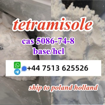 tetramisole hcl base (2)