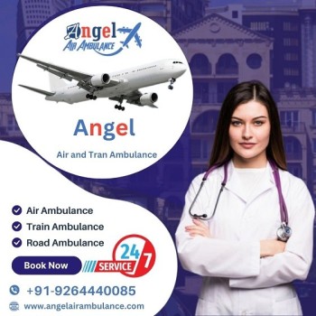 Book Outstanding Patient Shifting Service by Angel Air and Train Ambulance Service in Vellore