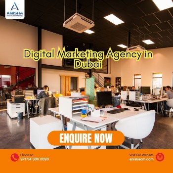 digital-marketing-agency-indubai-011