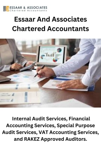 Professional ESSAAR AND ASSOCIATES Chartered Accountants in UAE