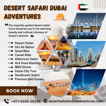 Camel Ride Adventures Dubai 00971555538395