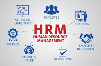 Best HR Management Software Solutions 