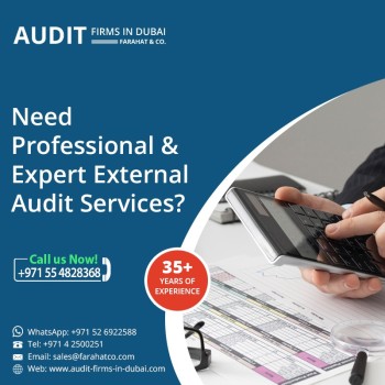 Professional Audit firm Dubai - Book a Consultation Today