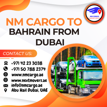 Cargo To Saint Petersburg From Dubai