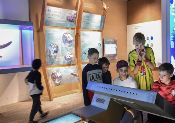 Interactive Museum Exhibits