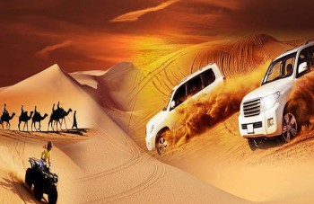 All-time Best Desert Safari in Abu Dhabi - Abu Dhabi Desert Tour Adventure