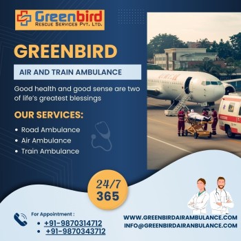 Greenbird Air and Train Ambulance Service in Rewa Provide you With Seamless Coordination 