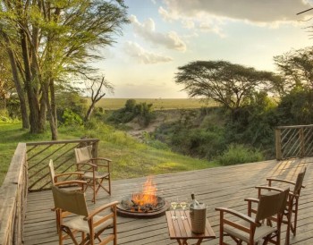 best kenya safari tour operators