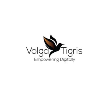  Get the Best SEO in Dubai with Volga Tigris